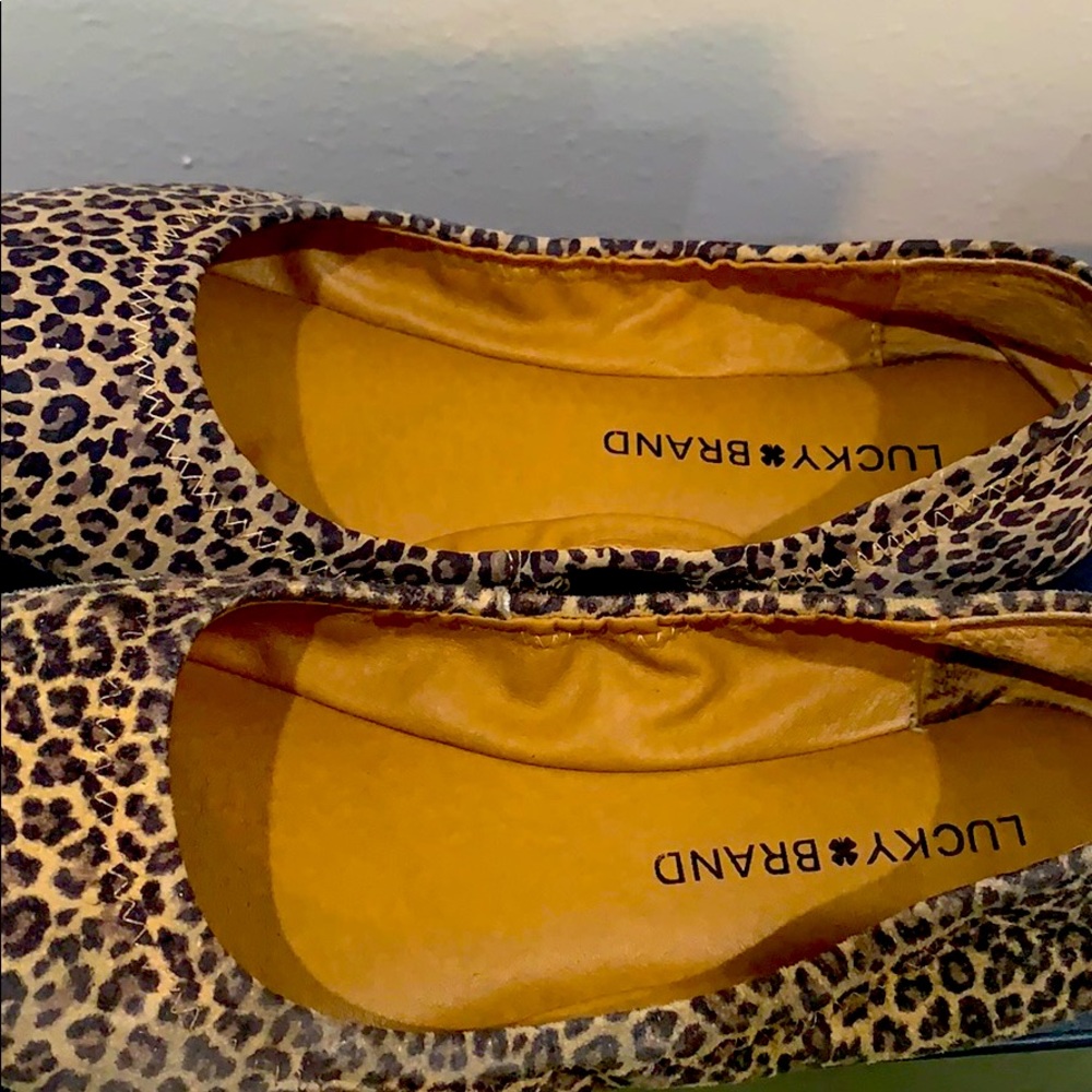 Leopard flats in a size 6